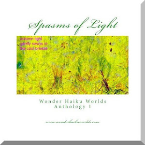 spasm of light