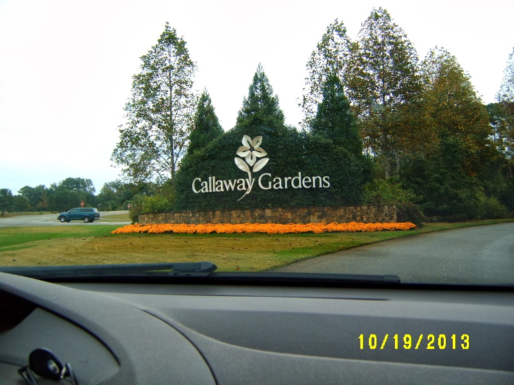 Alabama Rose And Flower Garden From A Non Green Thumb Callaway