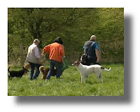 Aktuelles Vom Bananensprayer