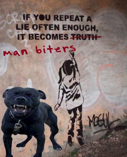 the truth about pit bulls human aggression animal aggression culled man biters and the desecration of truth