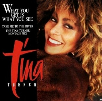 Tina  Turner