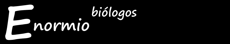 ENORMIO Biólogos