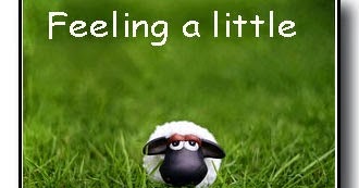 living by lysa a bit sheepish