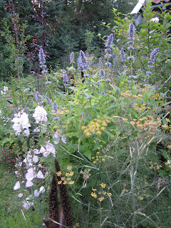 Blomsterbed i august