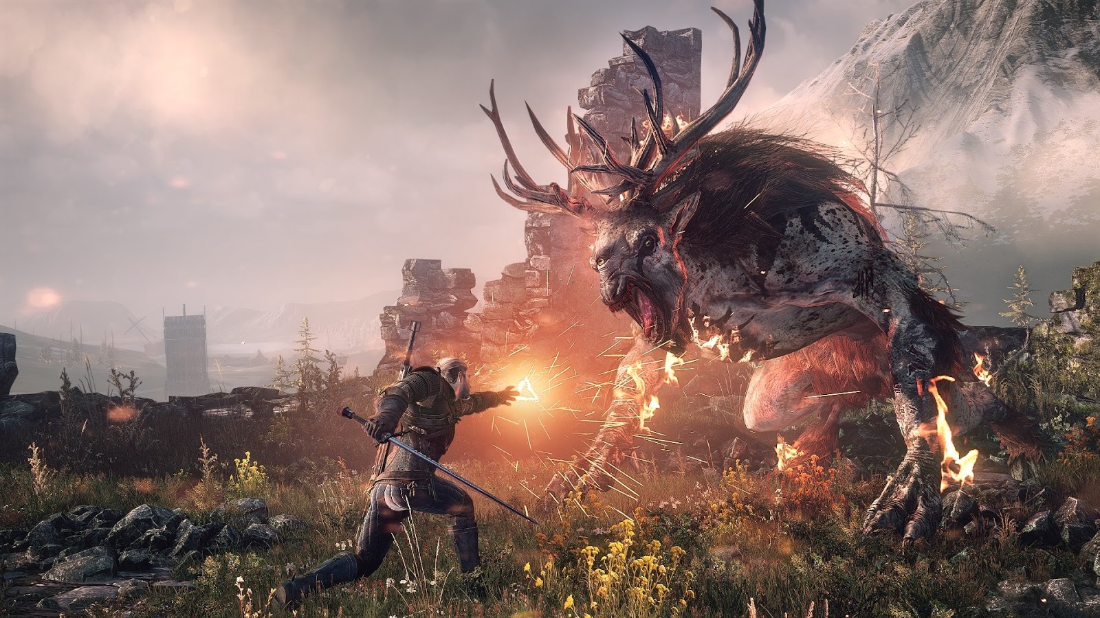 witcherr 3 download bitcomet witcherr 3 download bitcomet