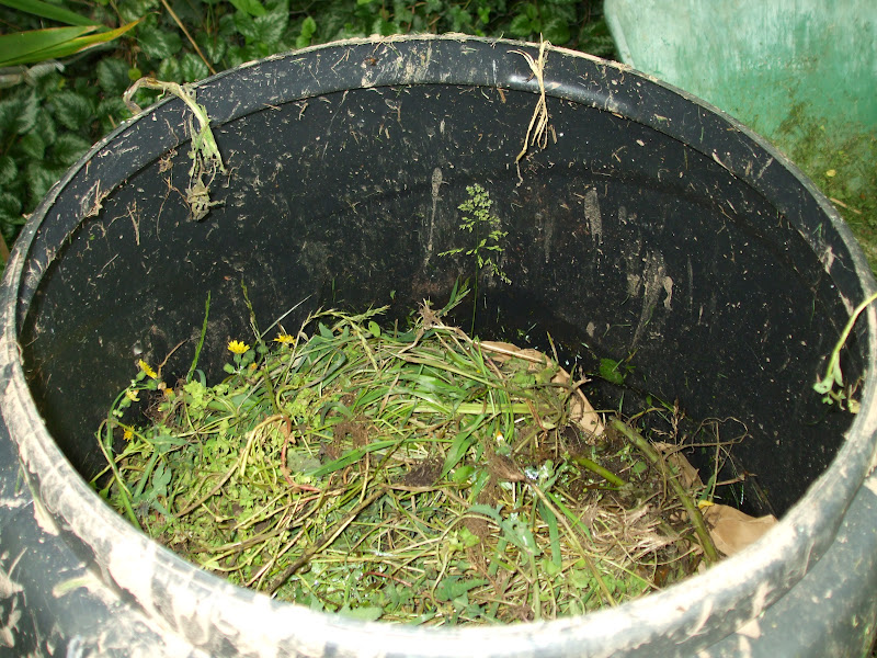 The Compost Bin Dalek Composter trial Day 1 to 4 (for comparison with