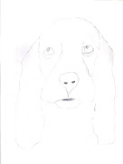 . miré fotos de dibujos de perros y eran algo parecidas a este dibujo. dibujo de travis