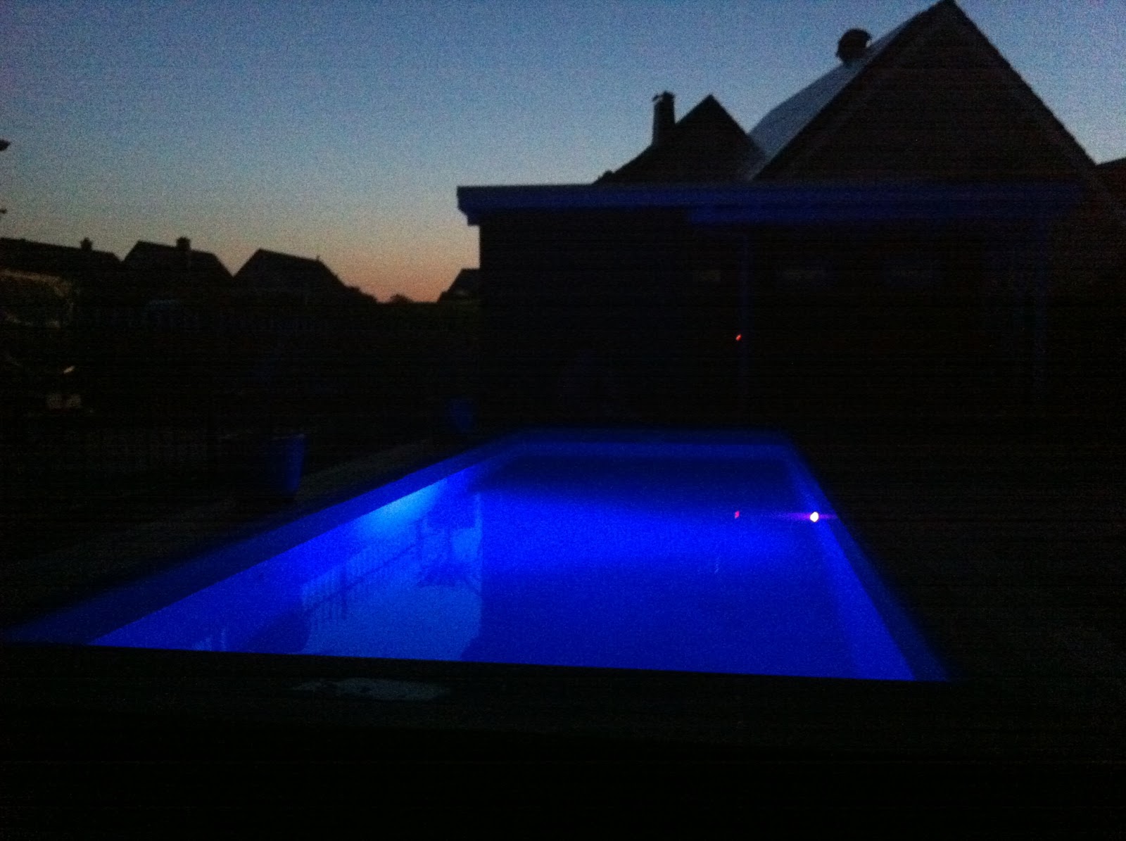 Embellished Details Trend Envy