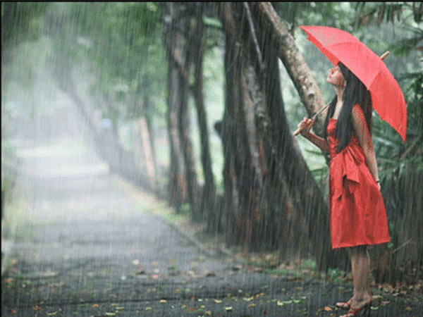PAISAJES ANIMADOS: Paisaje animado de lluvia (48) Un patio (Jorge Luis  Borges)