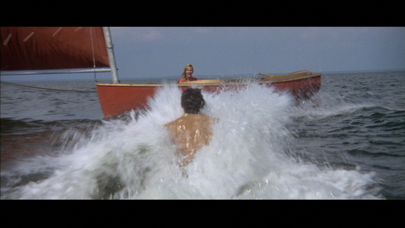 Which model of catboat is "Tina's Joy" catboat in Jaws 2.
