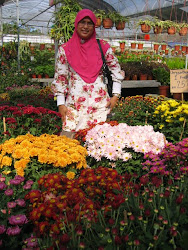 Cameron Highland, Pahang.