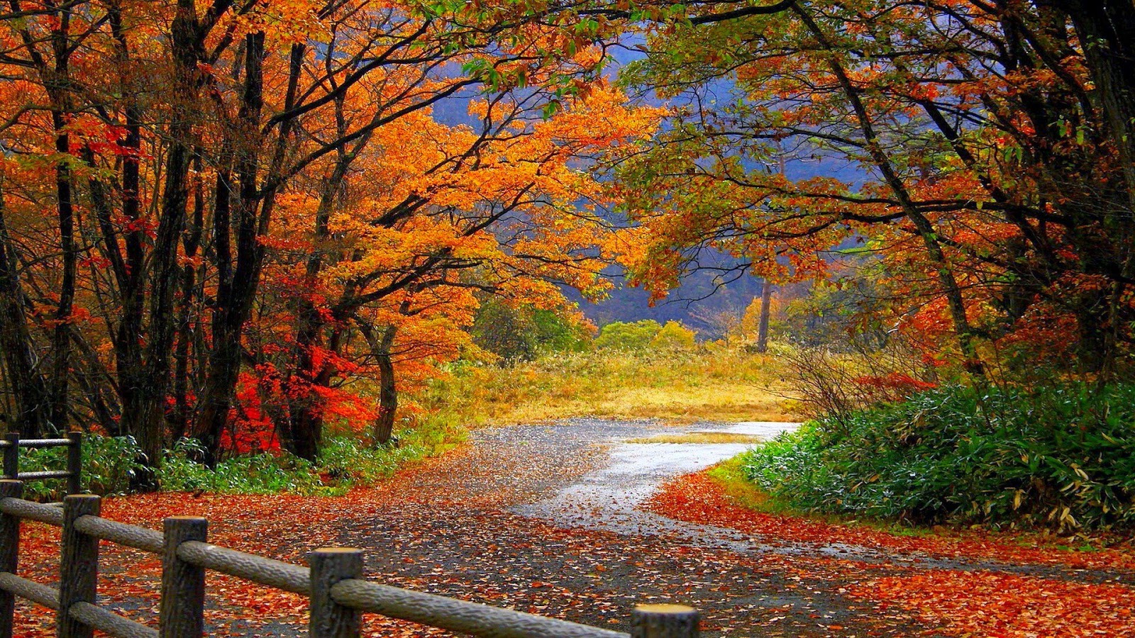 Autumn Season Wallpaper 2015 - Autumn Season HD Desktop & Backgrounds