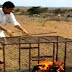 شباب سعوديون يحرقون ثعلباً عقاباً على التهامه 30 دجاجة 