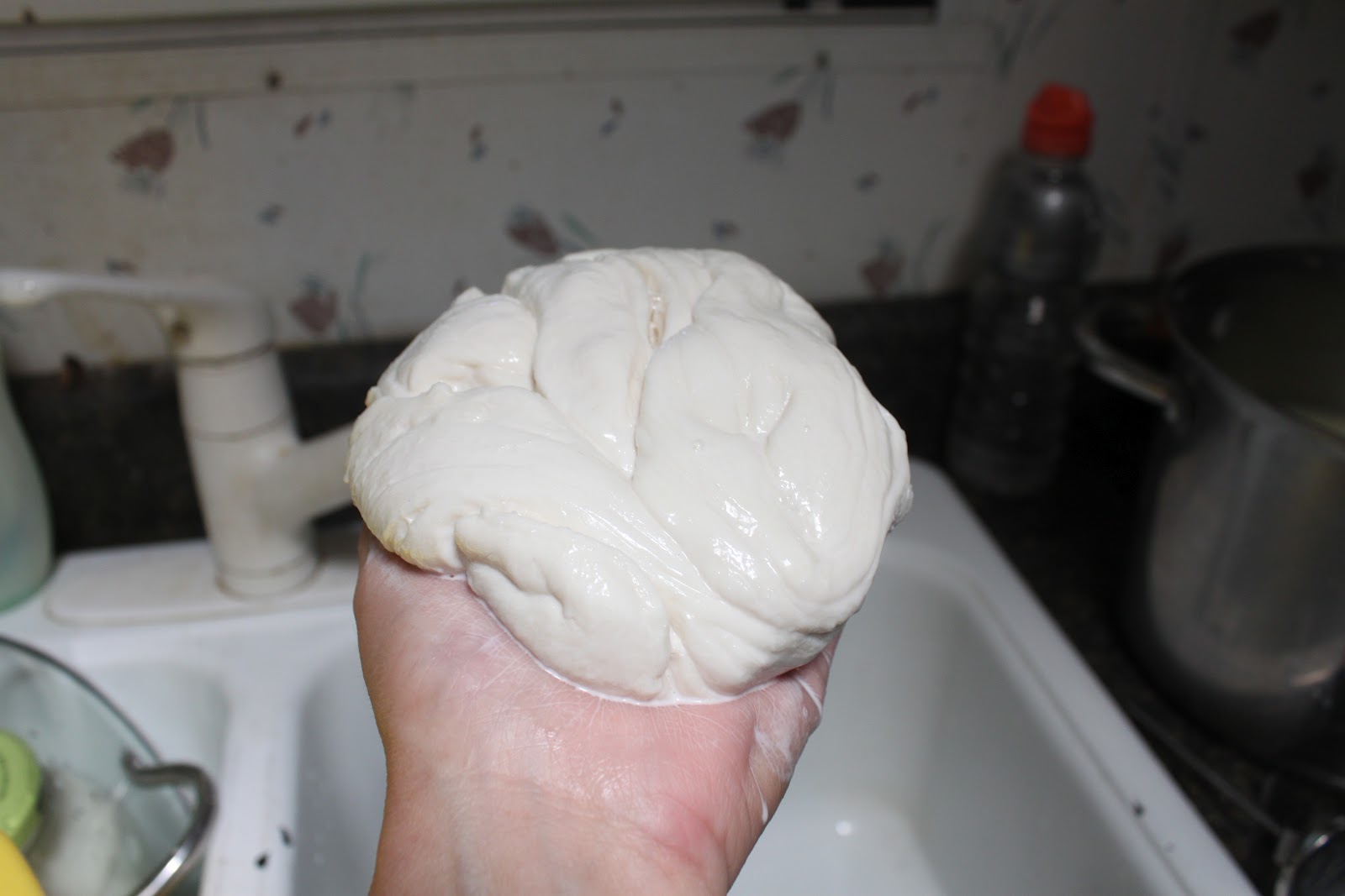 Homestead Life How To Make Mozzarella (String) Cheese