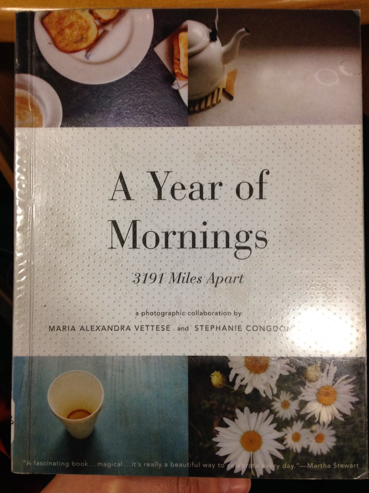 Rose Llewellyn Photography New Inspo Layout Research A Year