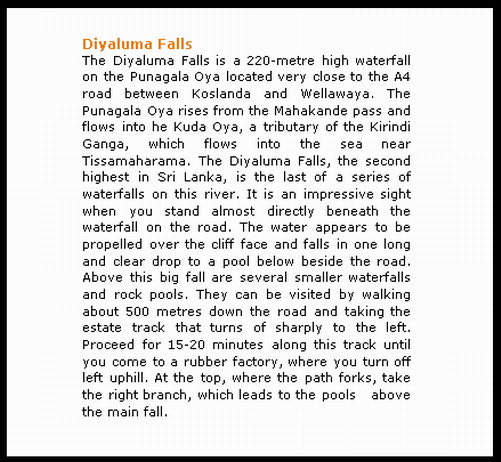 Descriptive essays for kids image