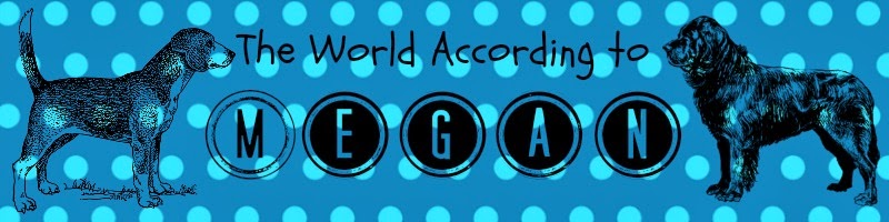 The World According to Megan