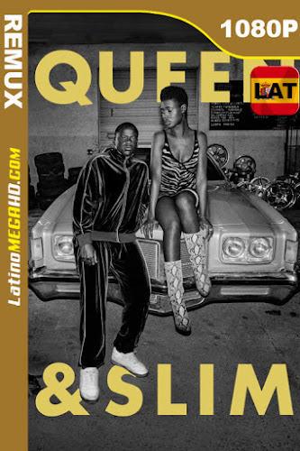 Queen & Slim (2019) Latino HD BDREMUX 1080P (2019)