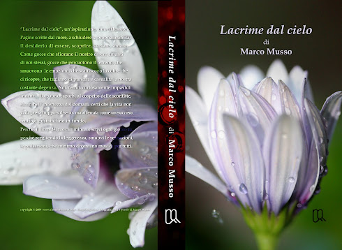 Leggi GRATIS "Lacrime dal cielo"