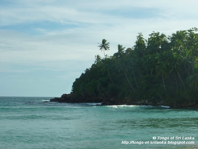 La plage de Dickwella