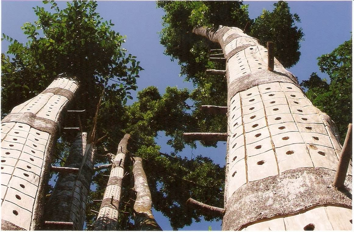 agarwoodskerala agar (odhu)