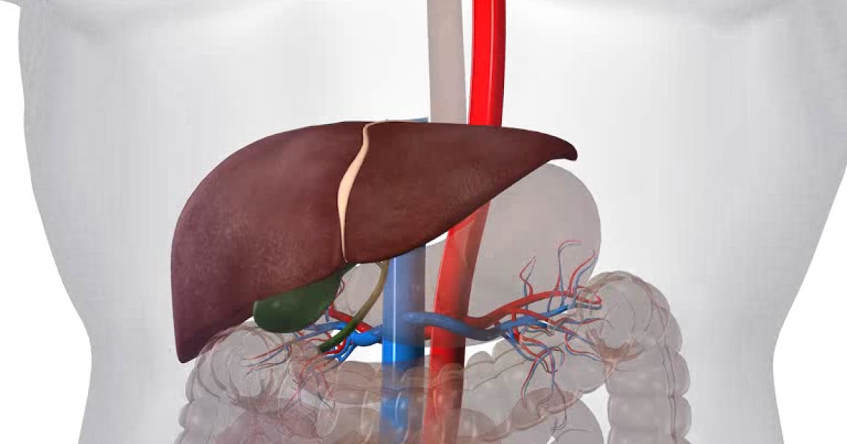 Symptoms And Treatment Of Hemochromatosis Health And Beauty