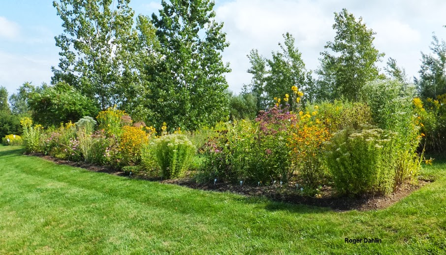 Nodding Onion Gardens