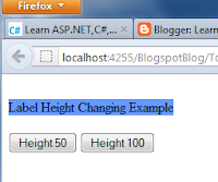 Label Height Changing programmatically