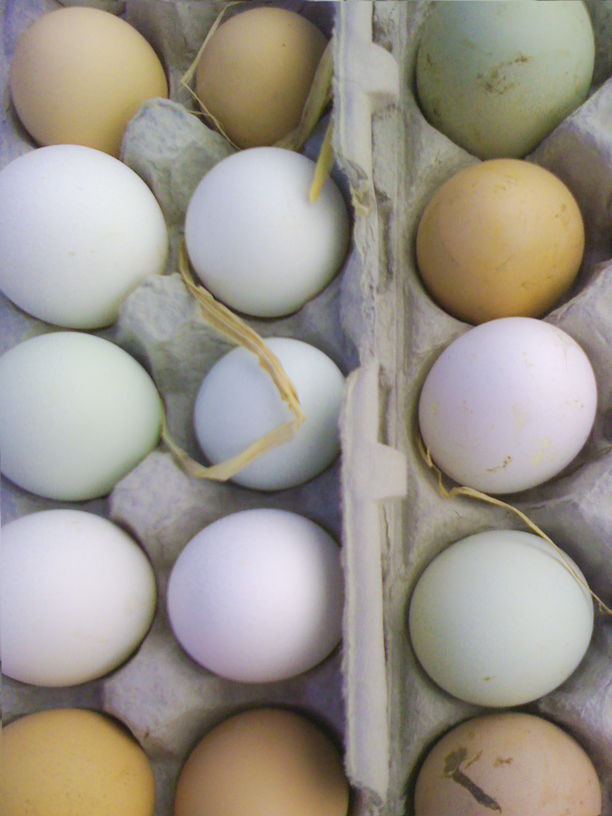 * Chic Provence * Summer She Flew