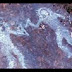 Ancient Cave Paintings-Ancient Astronaut Theory