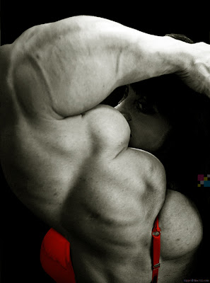 Jana Linke-Sipple muscle morph