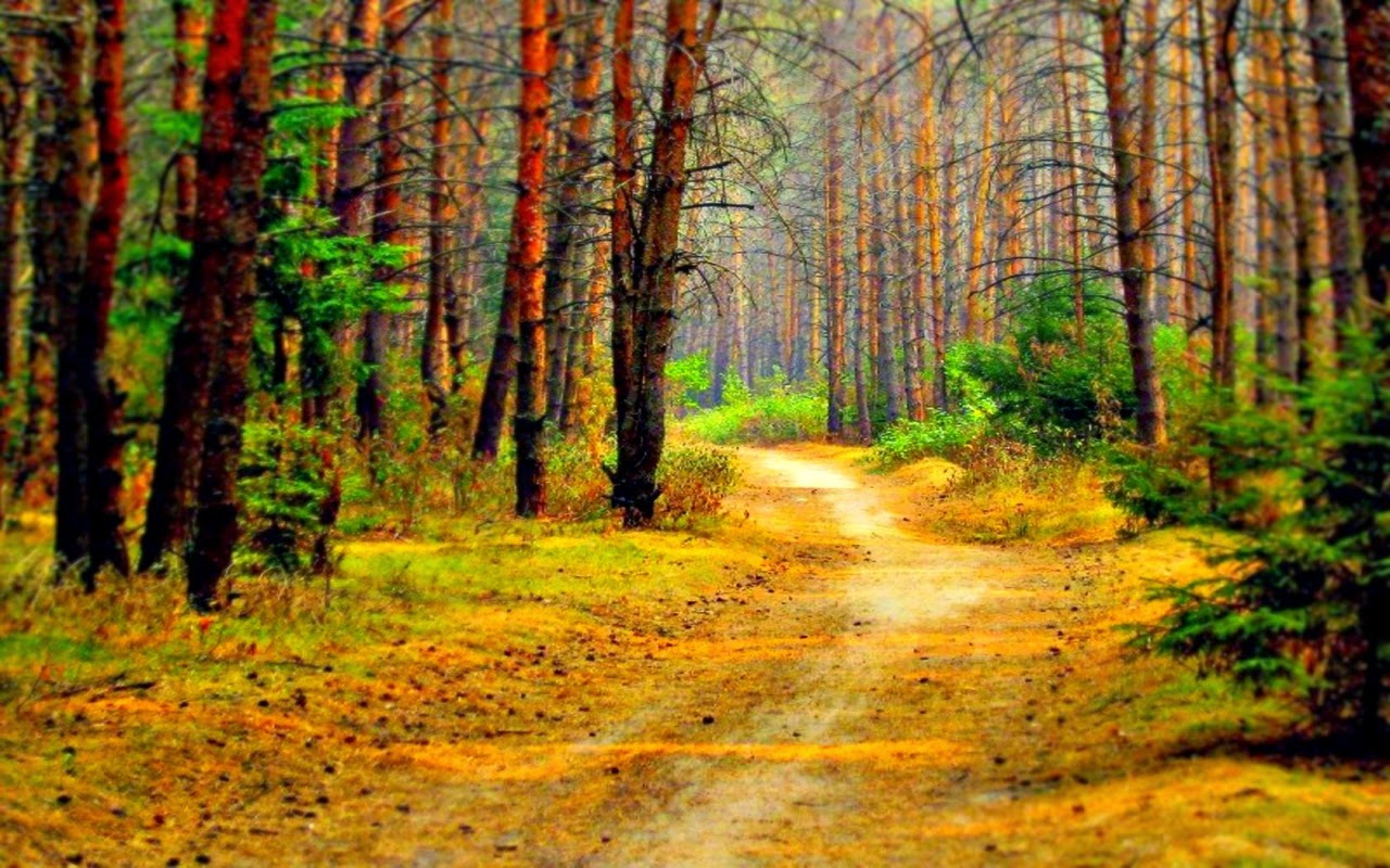 100% Desktop Quality HD Wallpapers 1080p Free Download: Top 28 Nature