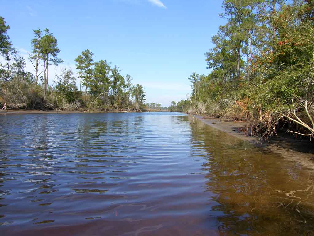 Kayaking the MobileTensaw River Delta 12/06/2009 Fowl River