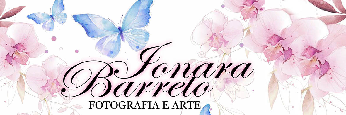 Ionara Barreto Presente Arte e Design 
