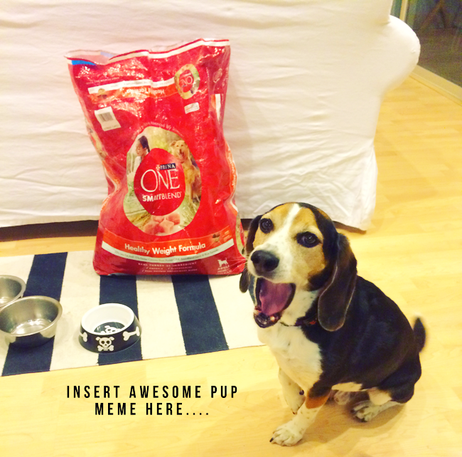 Gee Does The Purina One 28Day Challege Venus Trapped in Mars Dallas