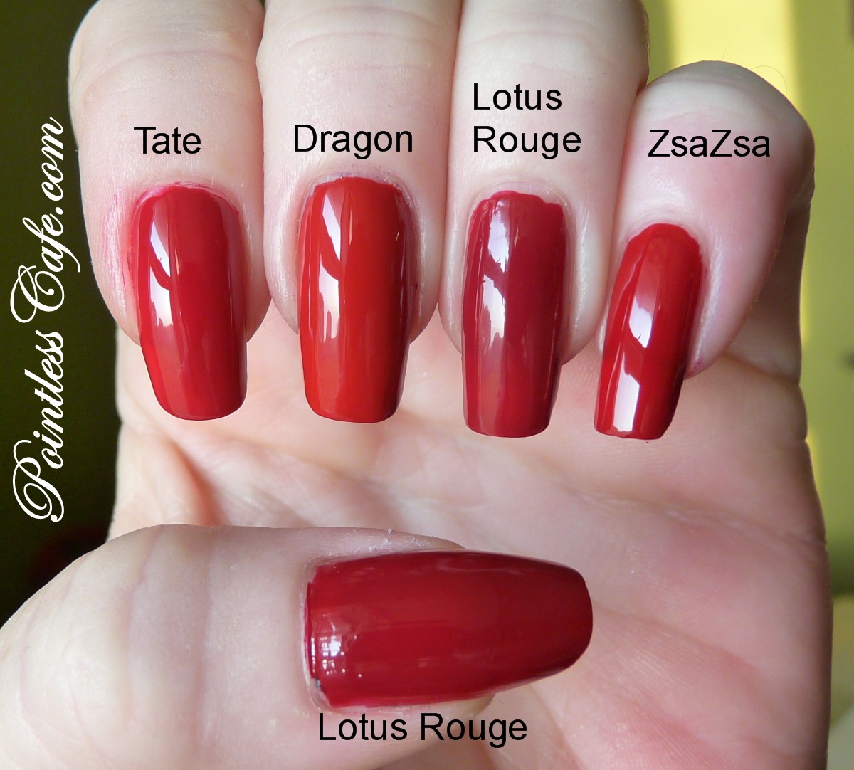 Pointless Cafe: Chanel Lotus Rouge, Pulling a Sheila, a RAOK and a Red  Comparison