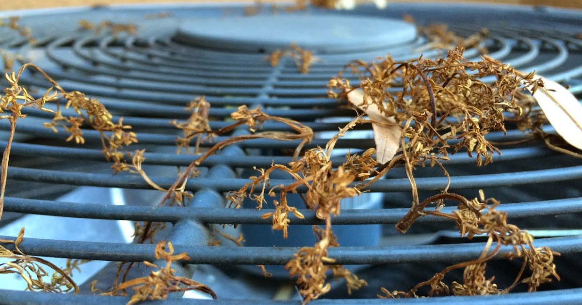 Los Angeles Air Conditioning Are Leaves In My Air Conditioner Bad?