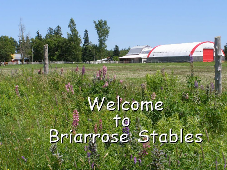 Briarrose stables