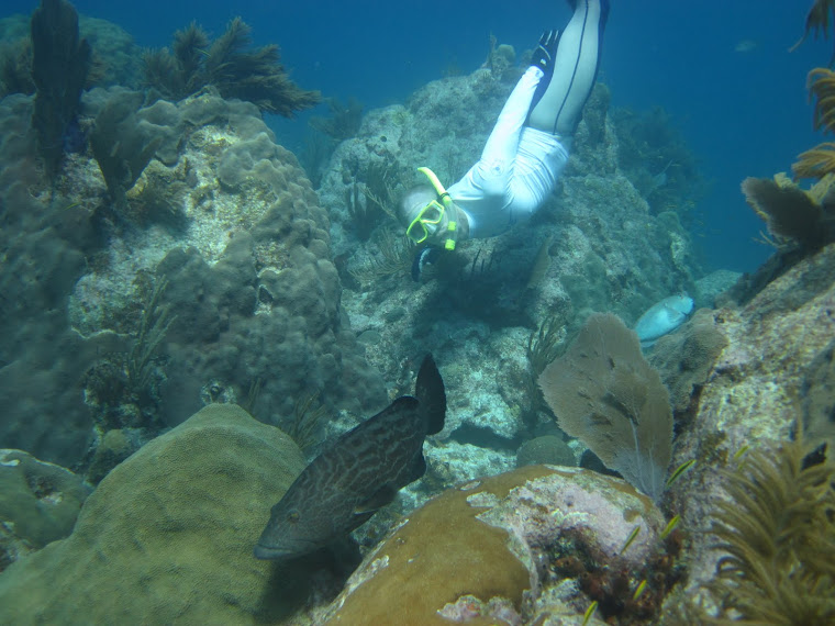 Diving in the Keys