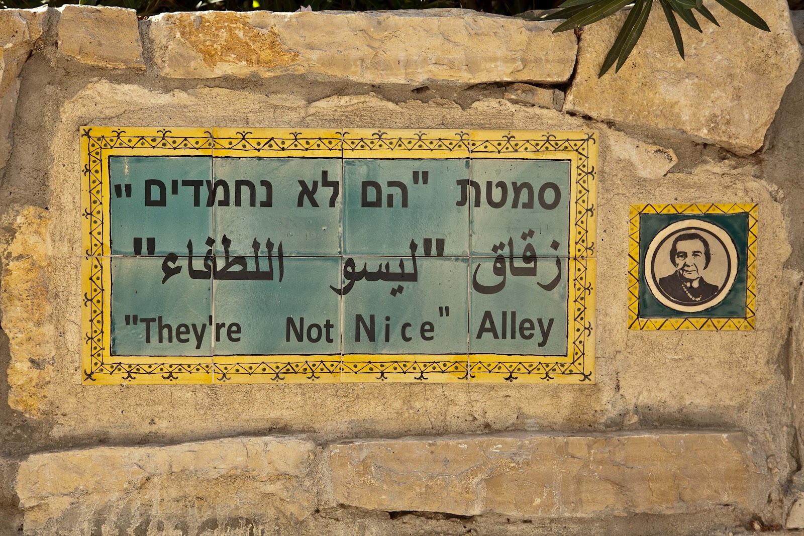 ת×צ×ת ת××× × ×¢××ר ×× ×× × ×××××