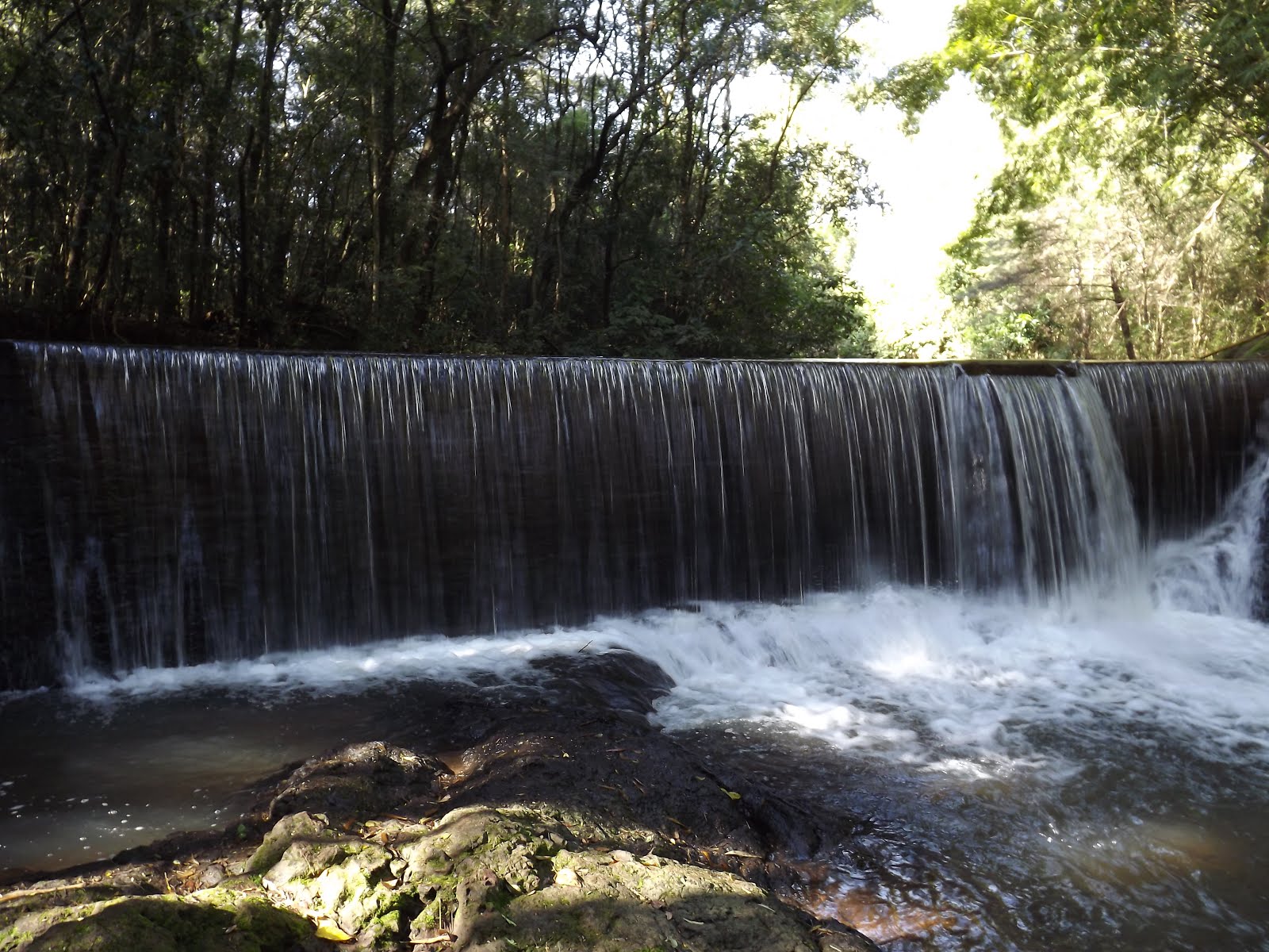 Jandaia do Sul-PR