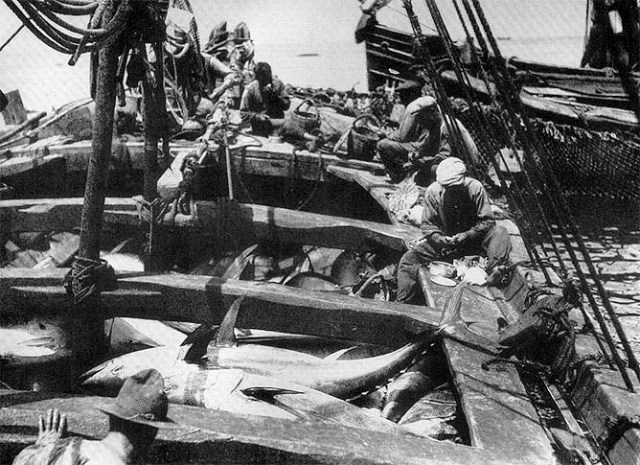 LA ALMADRABA DE TABARCA Alicante Vivo