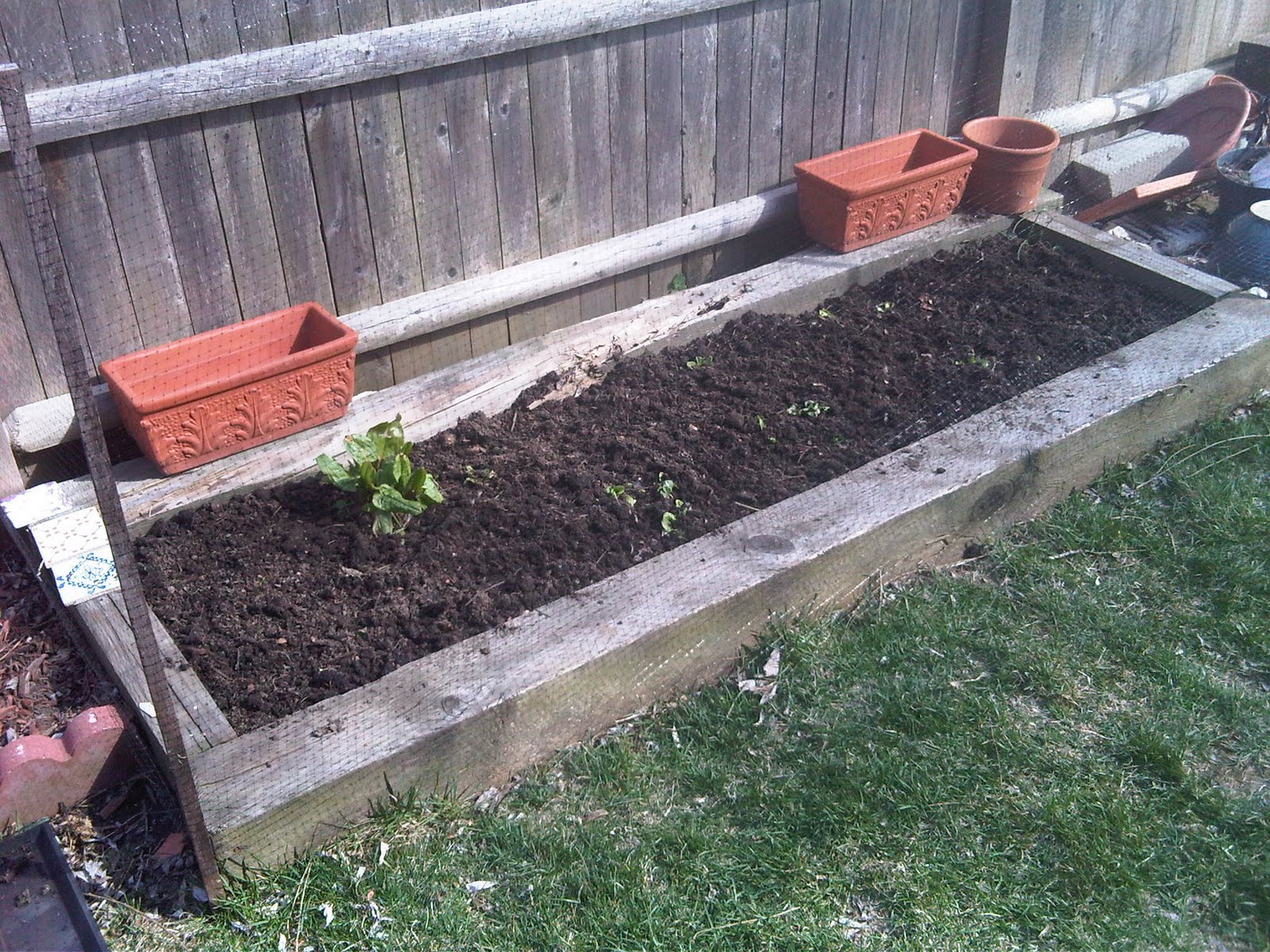 The Cambridge Urban Gardener Compost, Manure and Netting, getting the