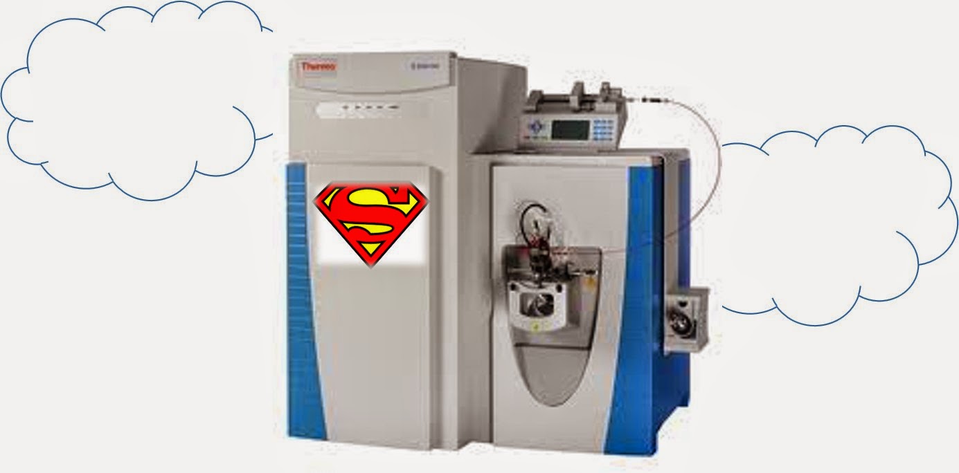 protein and proteomics