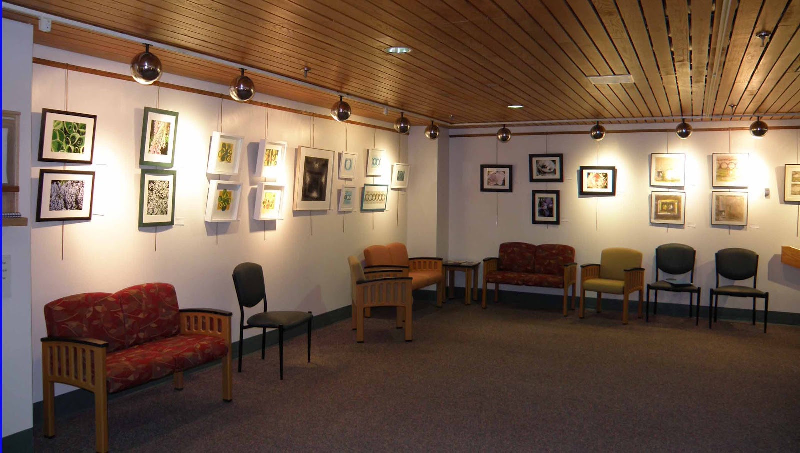 Thayer Hospital Art Gallery Exhibit is up! Lisa Wheeler, Art