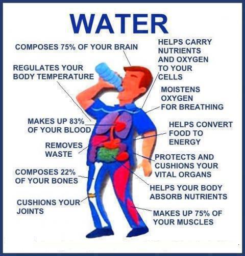Water is GOOD for the body!
