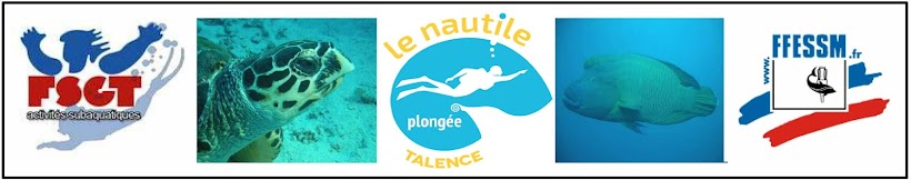 le nautile