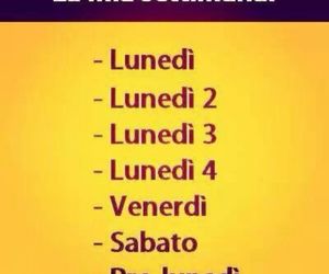 Frasi Matrimonio Frasi Simpatiche