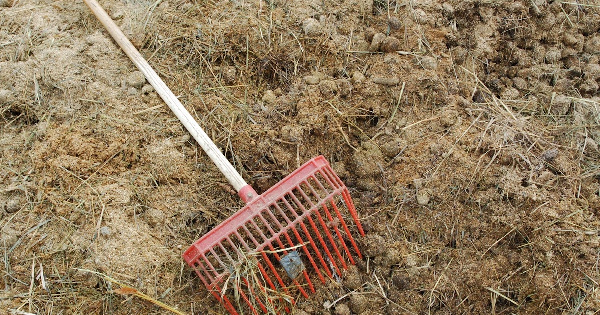 Savoring Servant Picking up horse manure for compost