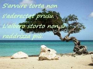 Amicomario Proverbi E Modi Di Dire Dei Sardi L Antica Nostra Lingua E Ricca Di Curiosi E Ironici Detti Sempre Carichi Di Verita Che Affrontano Tutti I Momenti Della Vita Anche Quello Del